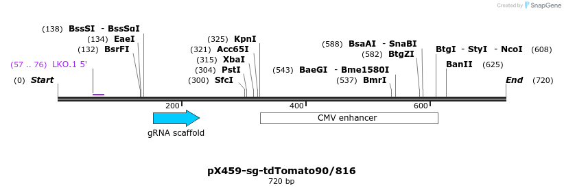 349574_map