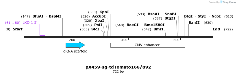 349576_map