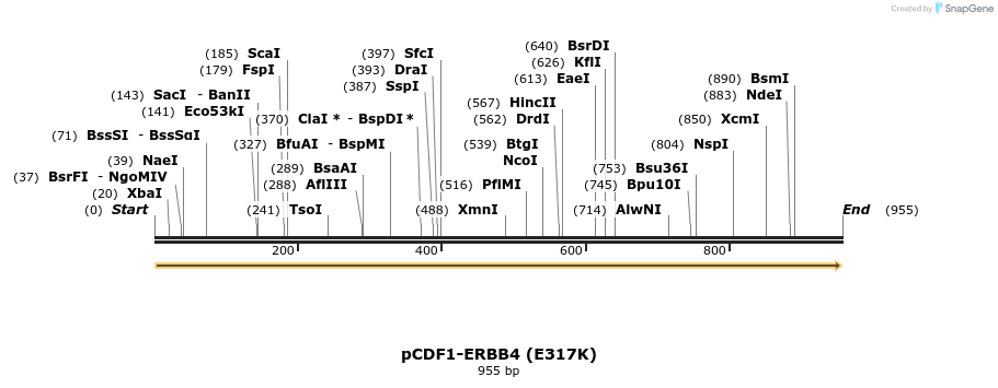 34958_map