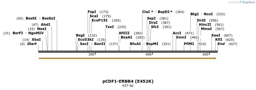 34959_map
