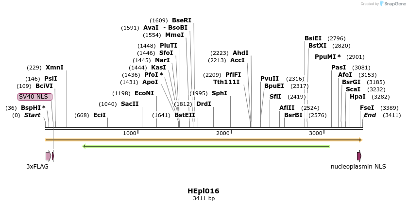 349617_map