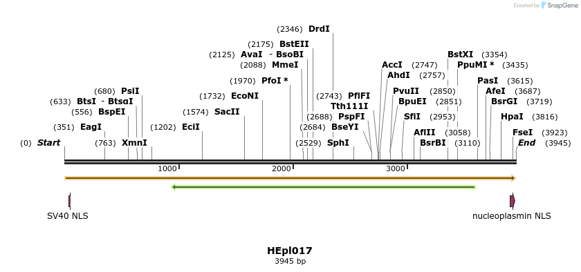 349620_map