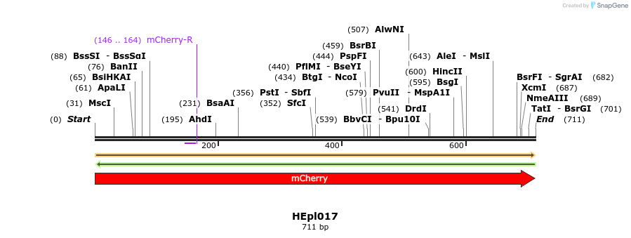 349621_map