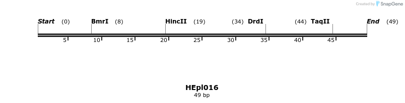 349622_map