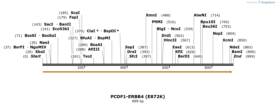 34964_map