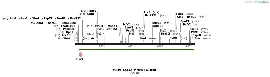 34969_map