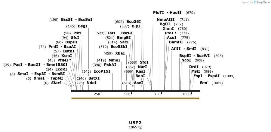 349718_map