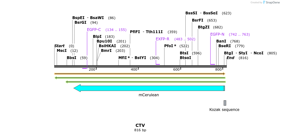 34981_map