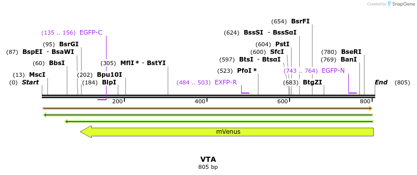 34985_map