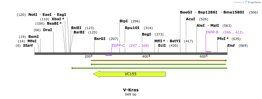 34987_map