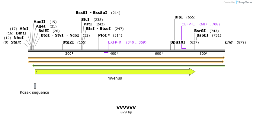 34991_map