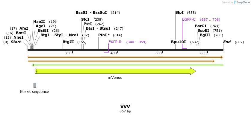 34993_map