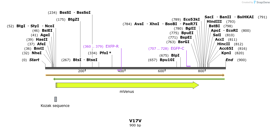 34995_map
