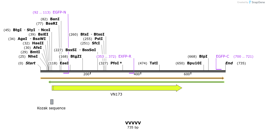 35001_map