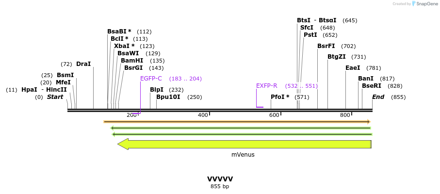 35002_map