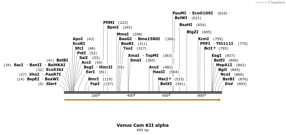35004_map