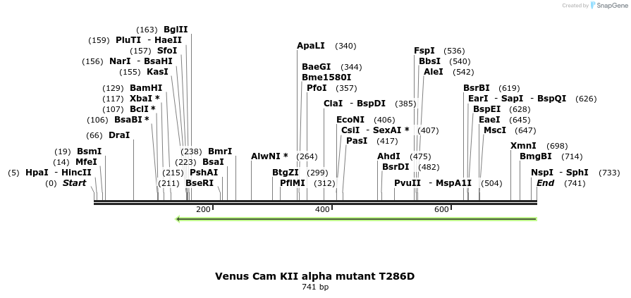 35005_map