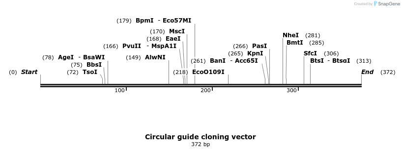 350055_map