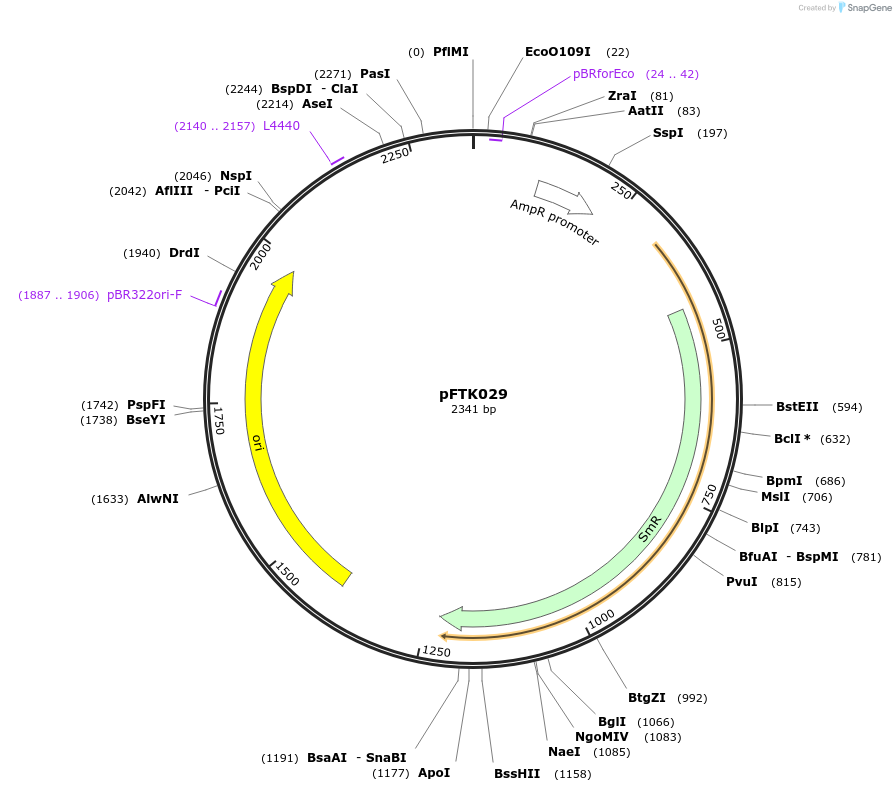 171301-plasmid-map-sequence-id-350059