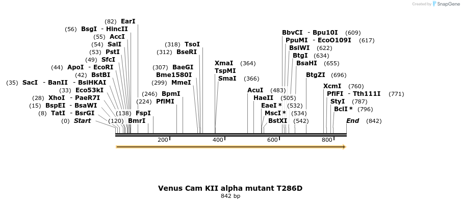35006_map