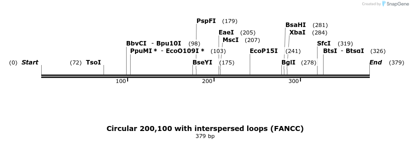 350065_map