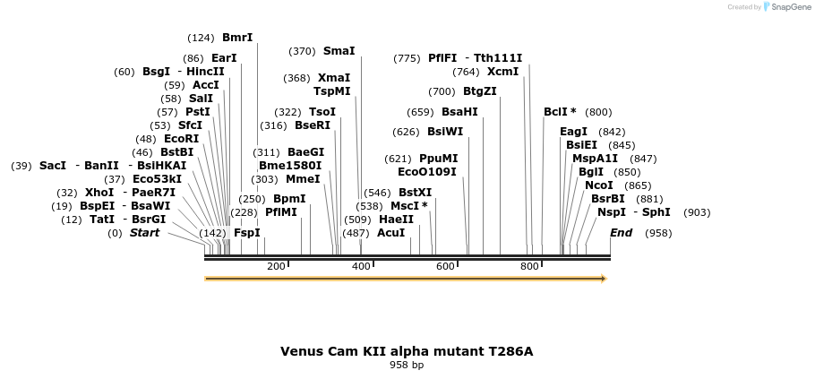35007_map