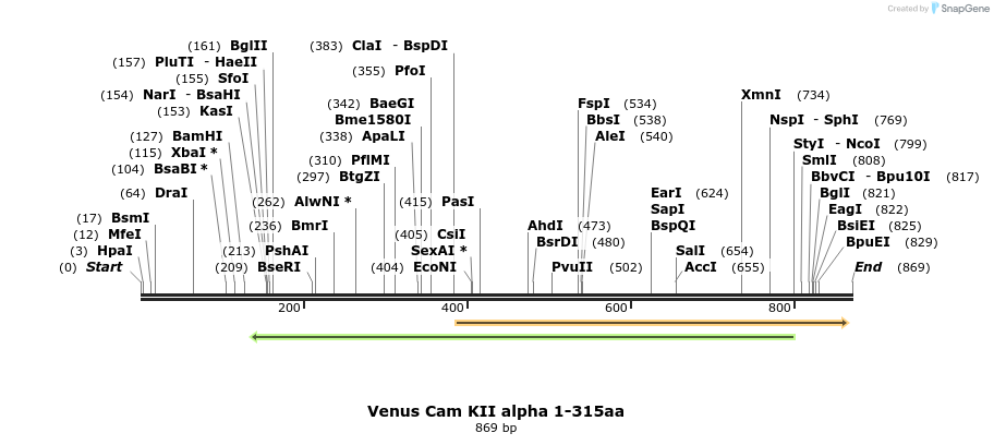 35008_map