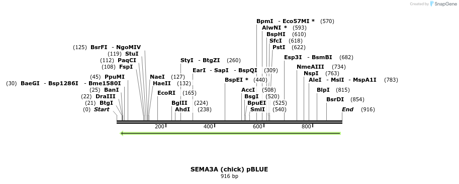 35010_map
