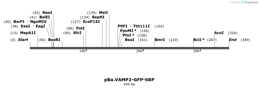 350151_map