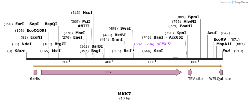 35016_map