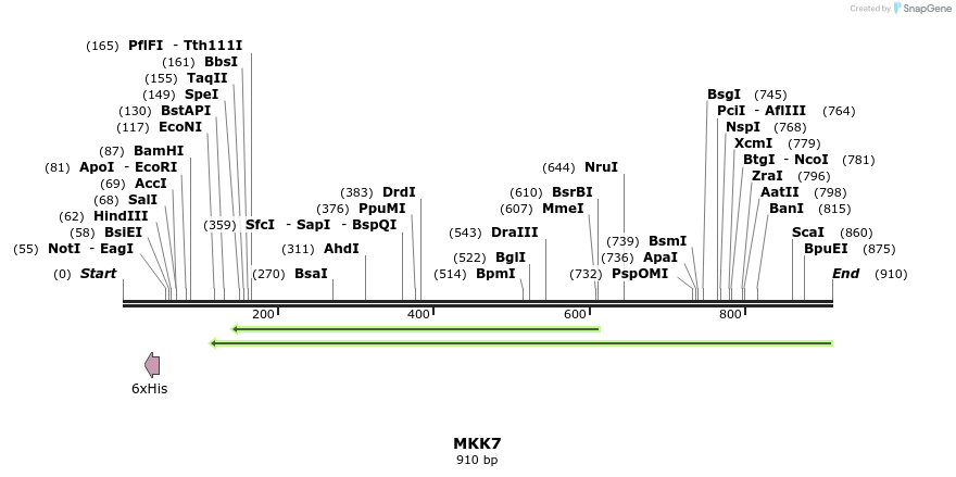 35017_map