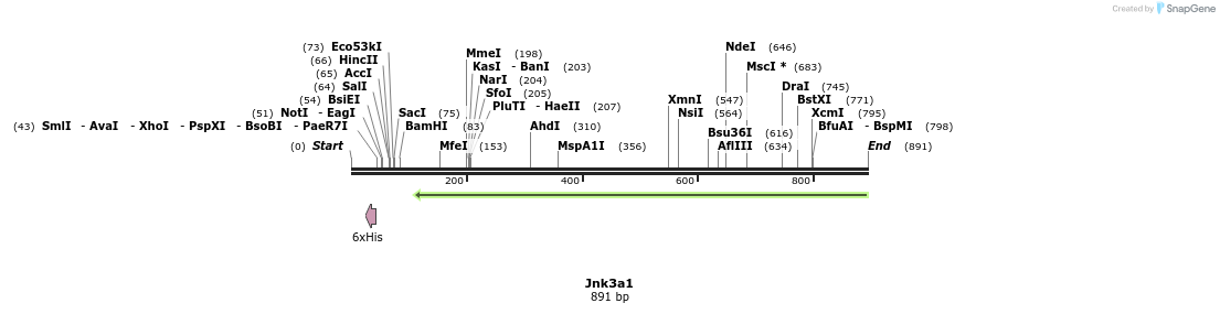 35018_map