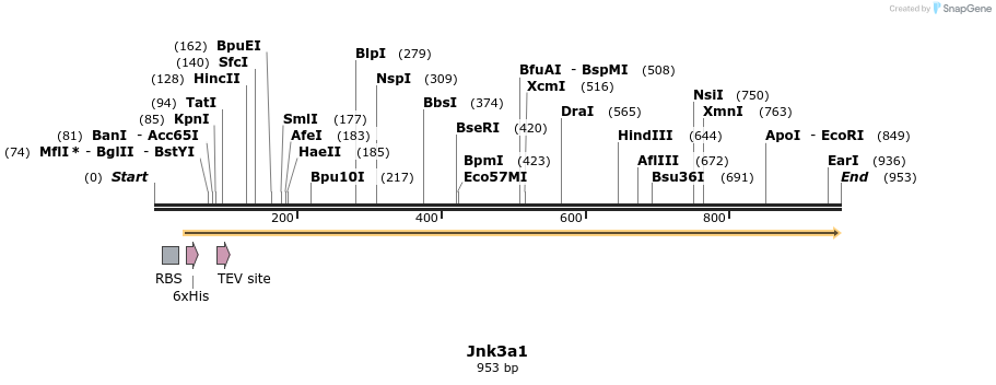 35019_map