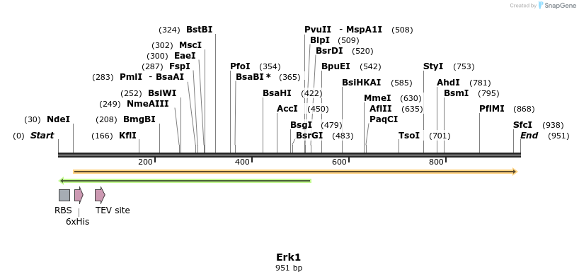 35020_map