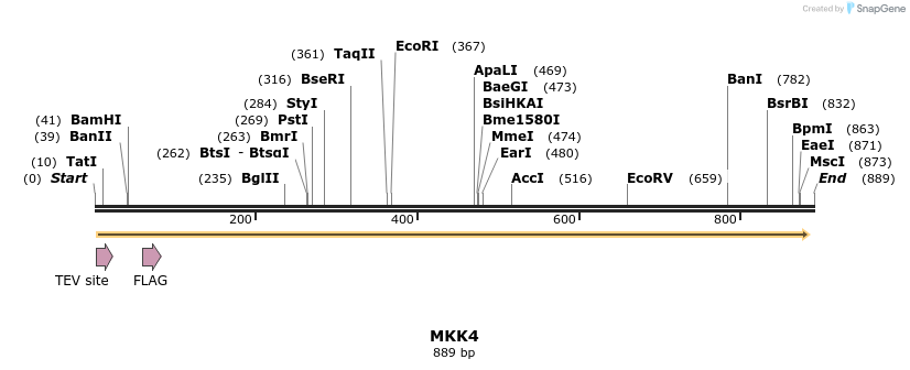 35021_map