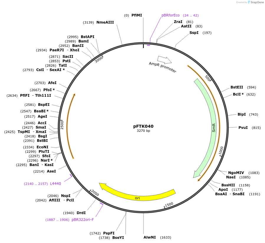 171312-plasmid-map-sequence-id-350213