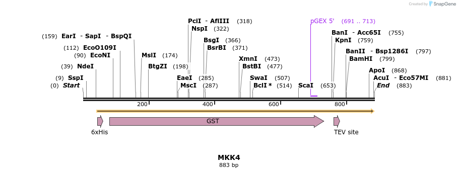 35022_map