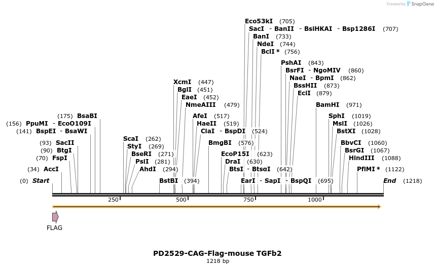 350226_map