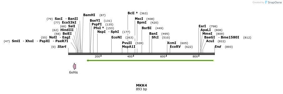 35023_map