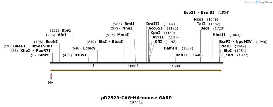 350230_map