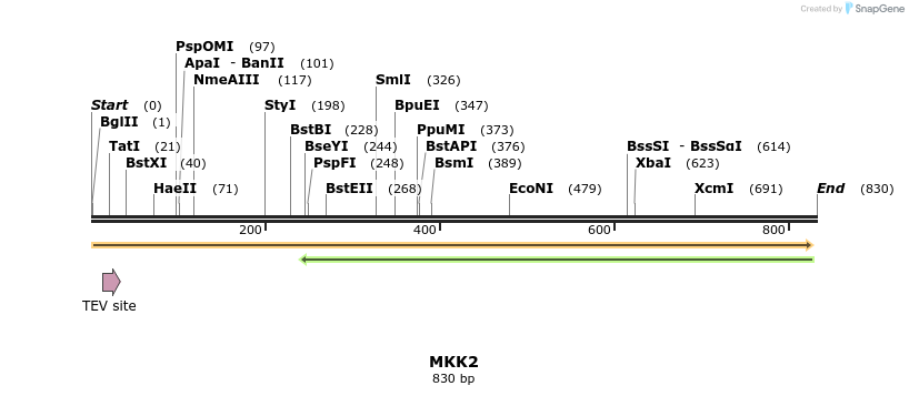 35024_map