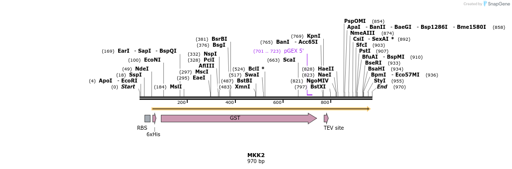 35025_map