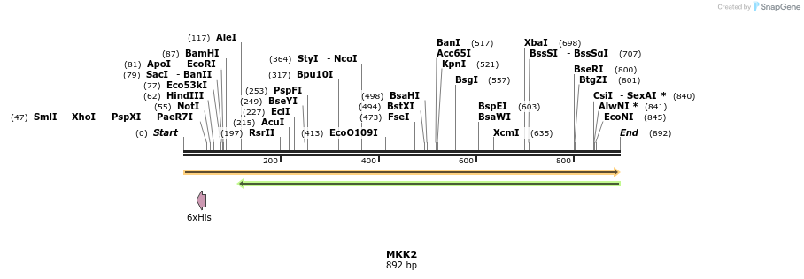 35026_map