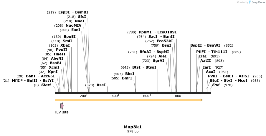 35027_map