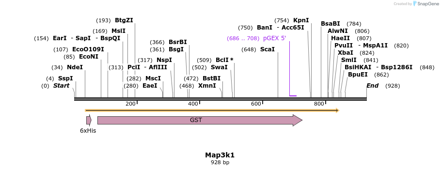 35028_map