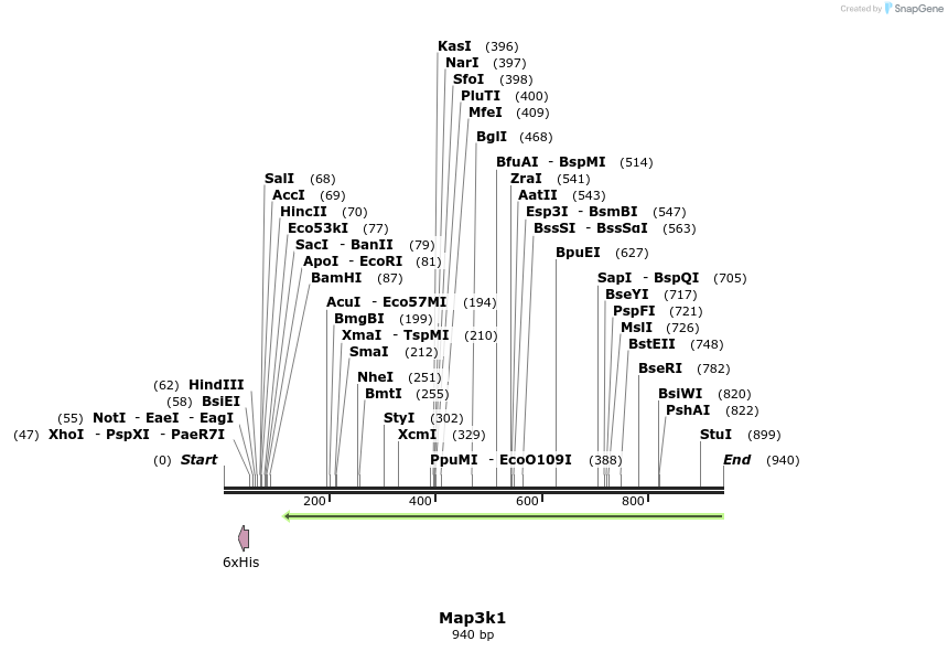 35029_map