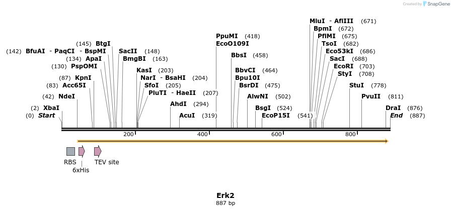 35030_map
