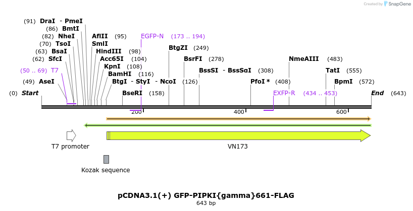 35031_map