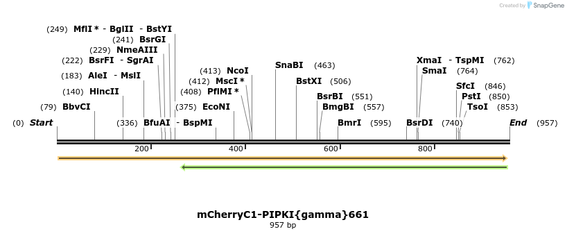 35032_map