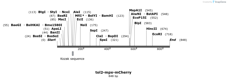 35033_map